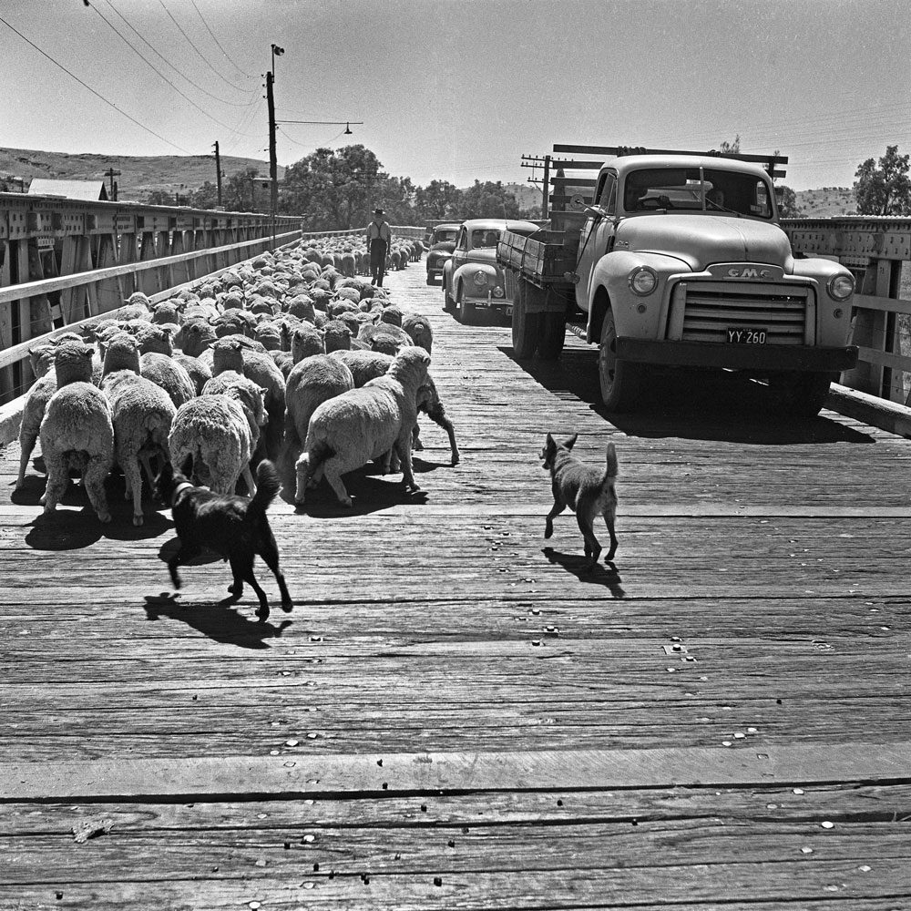 The Bridge at Gundagai c.1953 The Bridge at Gundagai c.1953