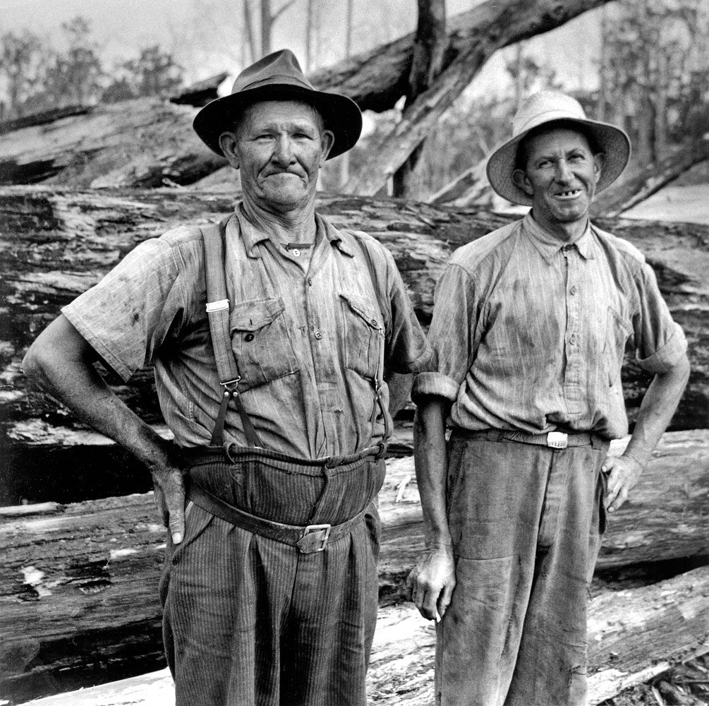 Forest Workers, Wauchope, 1955
