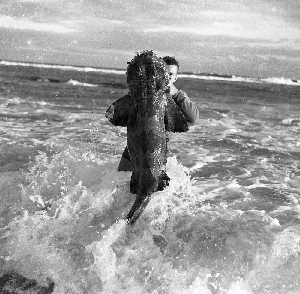Spearfishing c.1968 Spearfishing c.1968